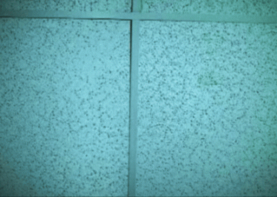 Workers Compensation Fund